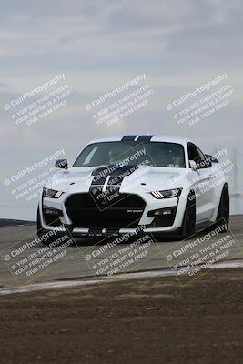media/Mar-30-2025-Speed Ventures (Sun) [[39e6b1441d]]/Black/Session 2 (Grapevine)/